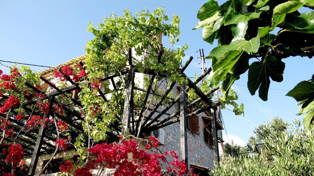 Papanestoras Apartments Kardamyli Exterior foto